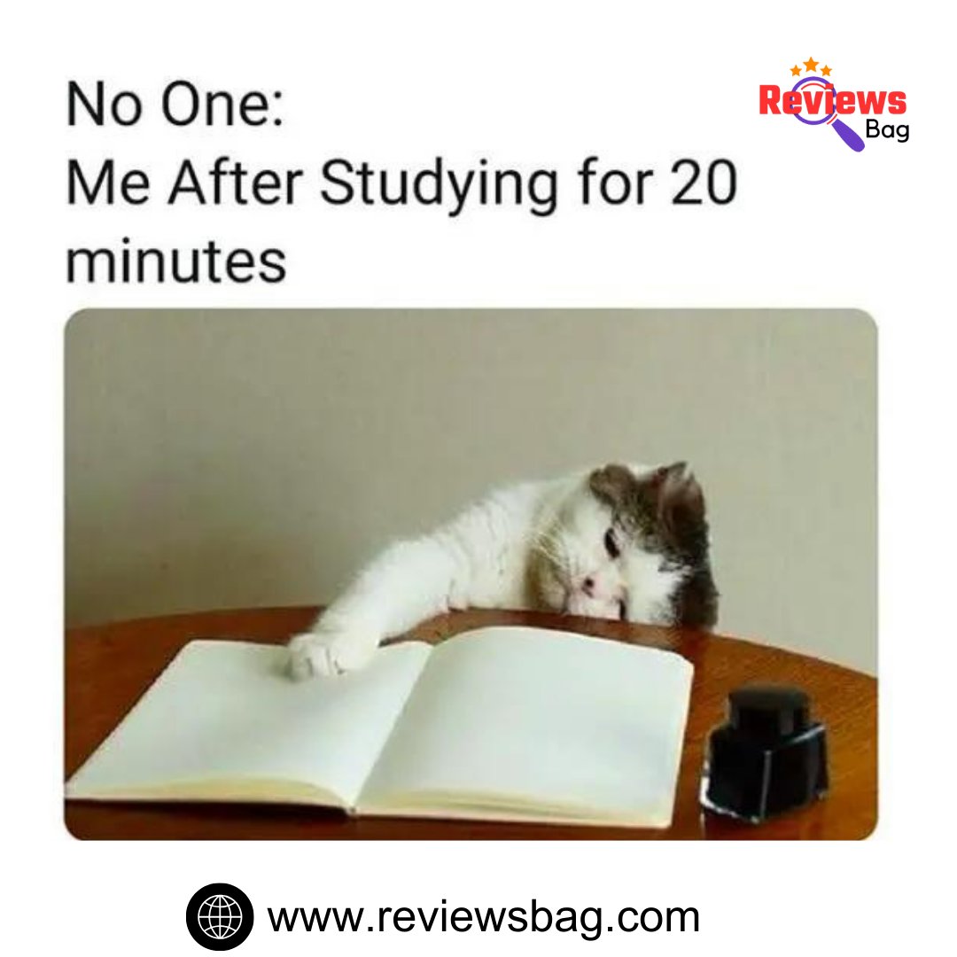 reviewsbagg's tweet photo. Me after studying for 20 minutes: Transforming into a study monster! 😤📚👾 Is it break time yet? 😅⏰🍕
.
.
.
#StudyLife #StudyStruggles #StudyMonster #StudentLife #StudyMode #StudyMotivation #StudyBreak #StudyHumor #RelatableMemes #StudyHard #StudyBlues #StudyProblems https://t.co/hxFfjGS9iR