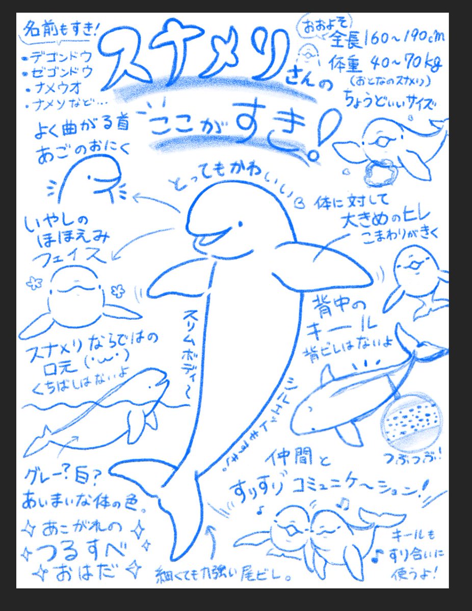 今日の進捗。次は清書です🐬 