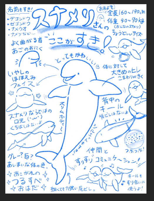 今日の進捗。次は清書です🐬 