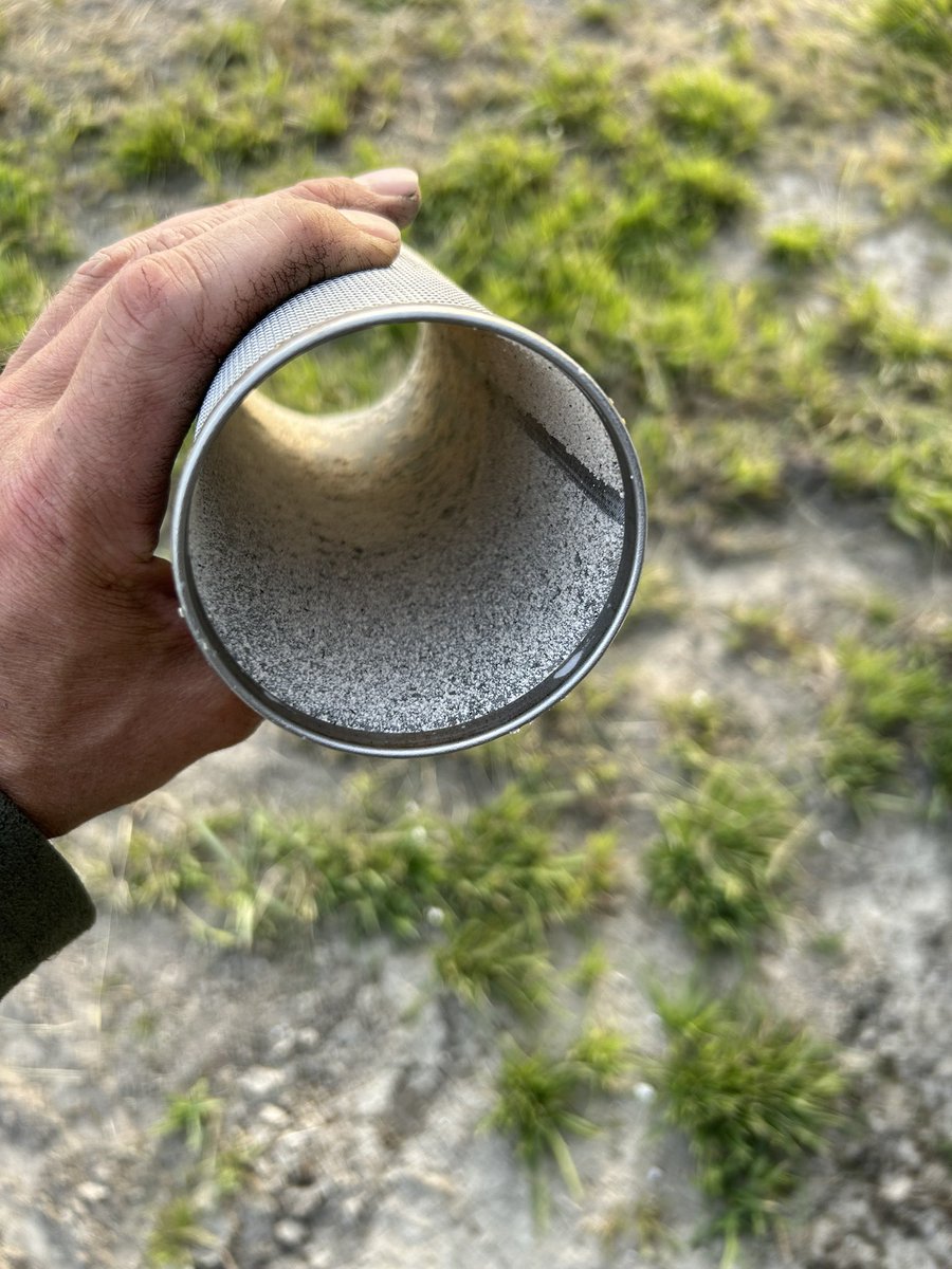 Leo Sturm tweet media