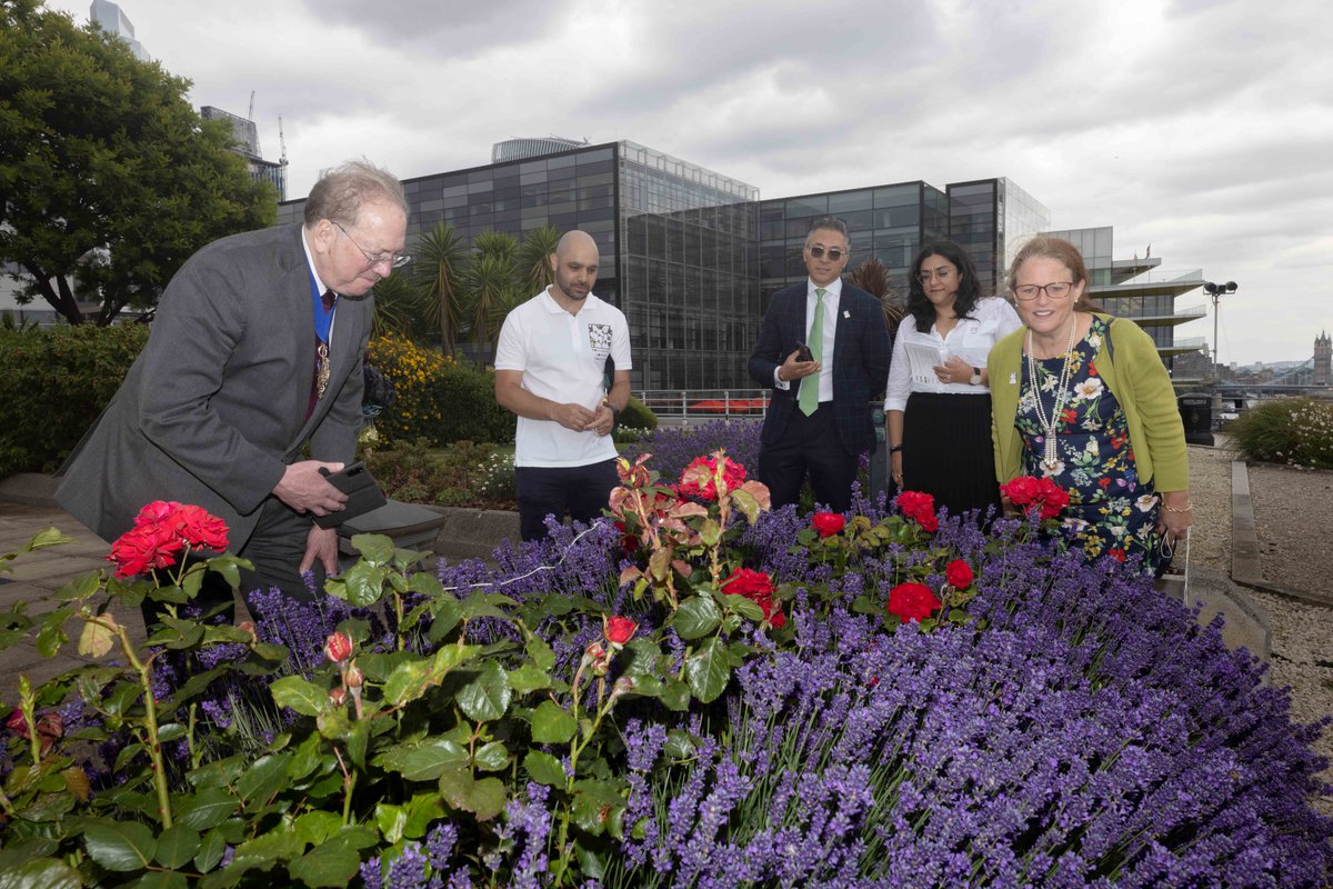citylordmayor's tweet photo. Yesterday was a great success in the Square Mile launching London's first pollinator count alongside @PollinatingLT. This vital initiative not only helps protect our precious pollinators but also fosters a greener, more sustainable London for future generations. #ConnectToProsper https://t.co/DqS8ag30Oh