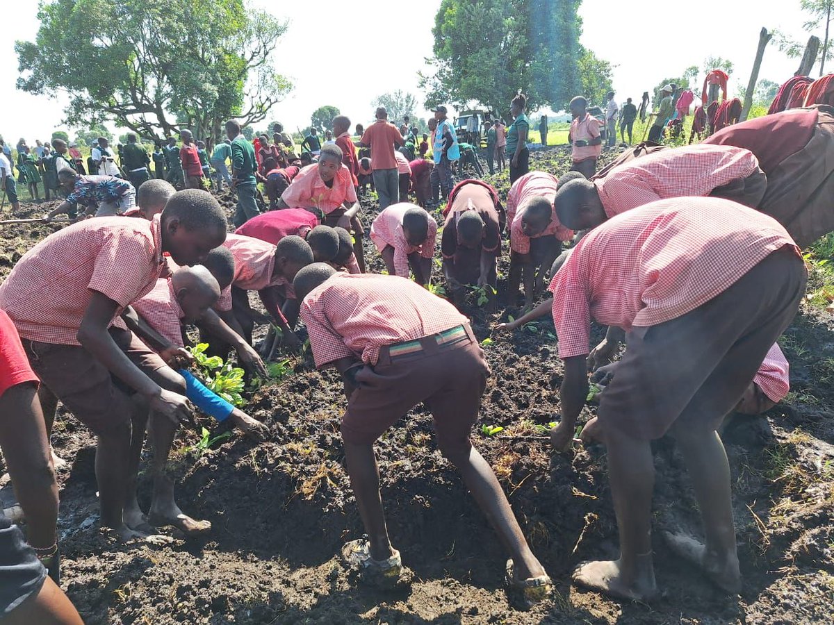 Mara Elephant Project (@maraelephant) on Twitter photo MEP employees act as conservation ambassadors as highlighted in several June activities.
1.) MEP Farm team planted a kitchen garden and trees as a conservation club activity thanks to support from <a href="/KampurTravels/">Kampur Travel Diaries</a>. MEP employees act as conservation ambassadors as highlighted in several June activities.
1.) MEP Farm team planted a kitchen garden and trees as a conservation club activity thanks to support from <a href="/KampurTravels/">Kampur Travel Diaries</a>.
