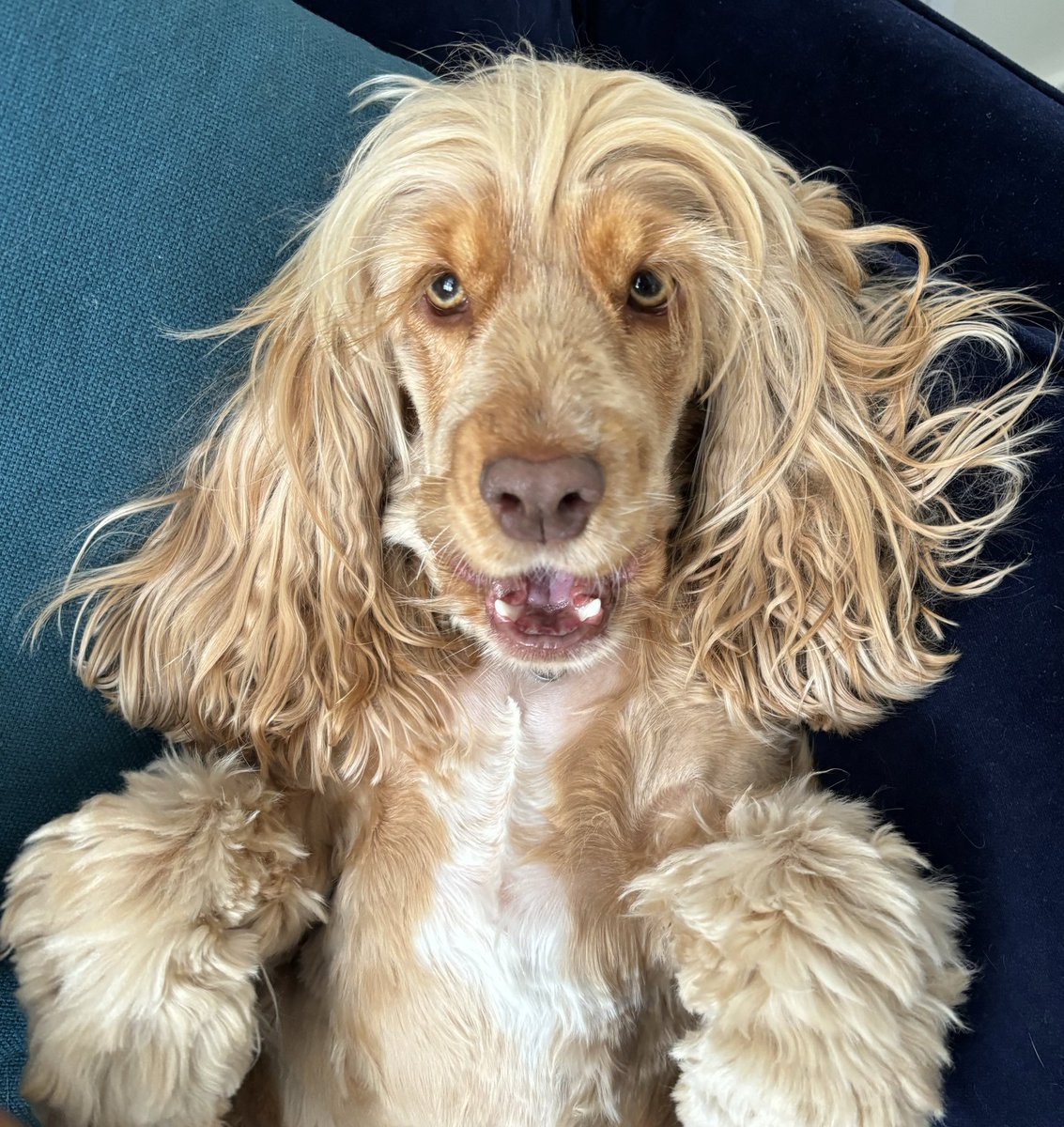 Nora Nanayakkara tweet media