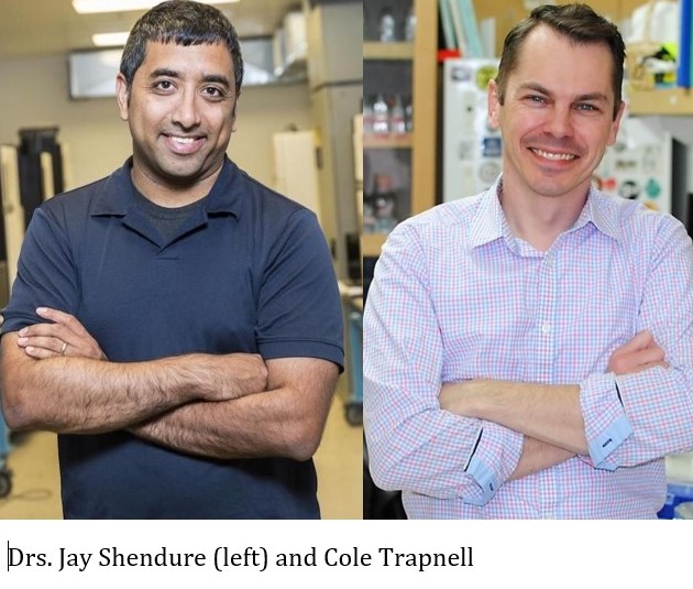 Brotman Baty (@brotmanbaty) on Twitter photo All you have is a sequencer? No problem! Alternative routes to scRNA-seq are being developed by pioneering companies around the globe.
<a href="/JShendure/">Jay Shendure</a> <a href="/coletrapnell/">Cole Trapnell</a> <a href="/uwgenome/">UW Genome Sciences</a>
genengnews.com/topics/omics/n… All you have is a sequencer? No problem! Alternative routes to scRNA-seq are being developed by pioneering companies around the globe.
<a href="/JShendure/">Jay Shendure</a> <a href="/coletrapnell/">Cole Trapnell</a> <a href="/uwgenome/">UW Genome Sciences</a>
genengnews.com/topics/omics/n…