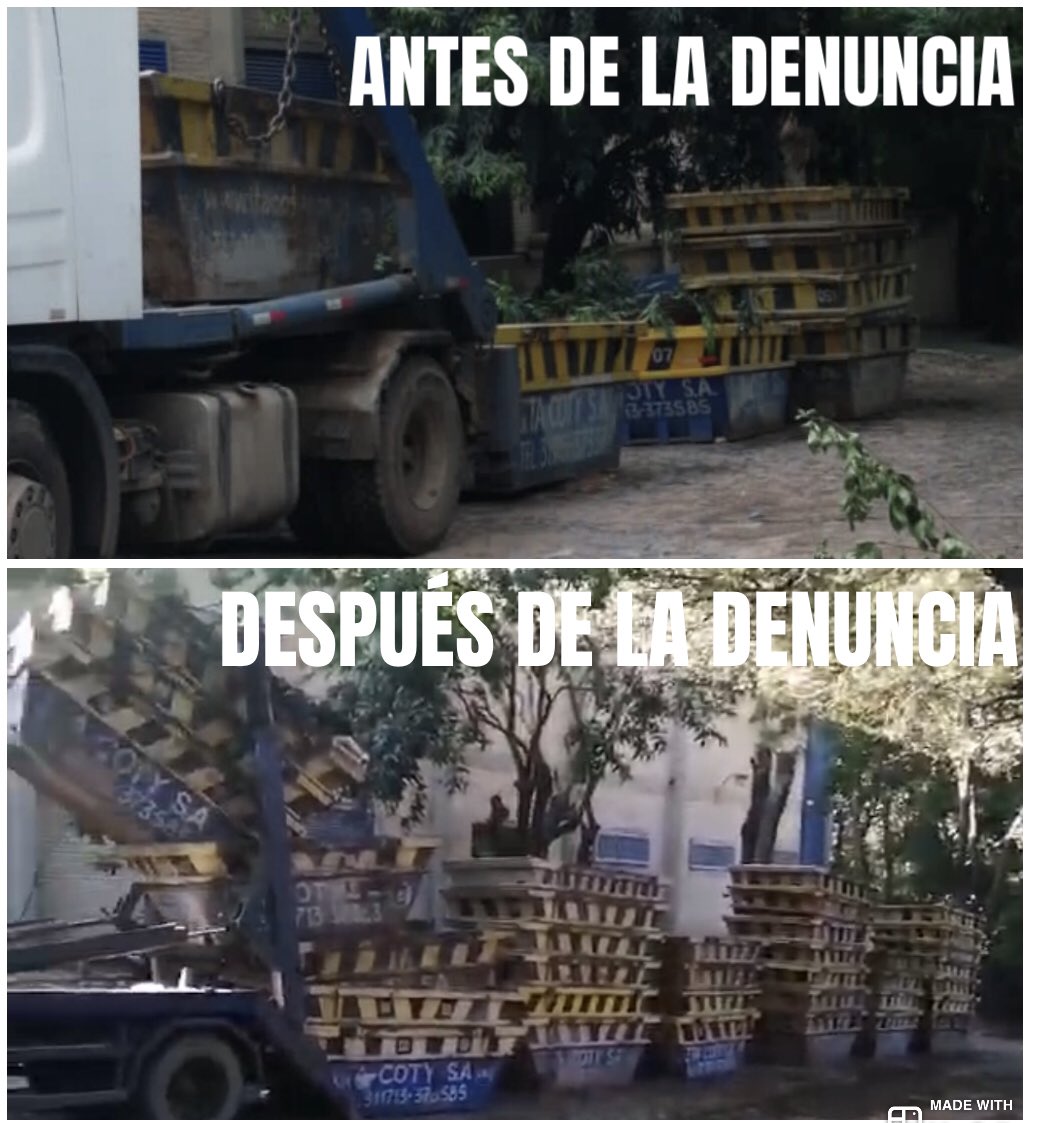 Diego Segovia tweet media