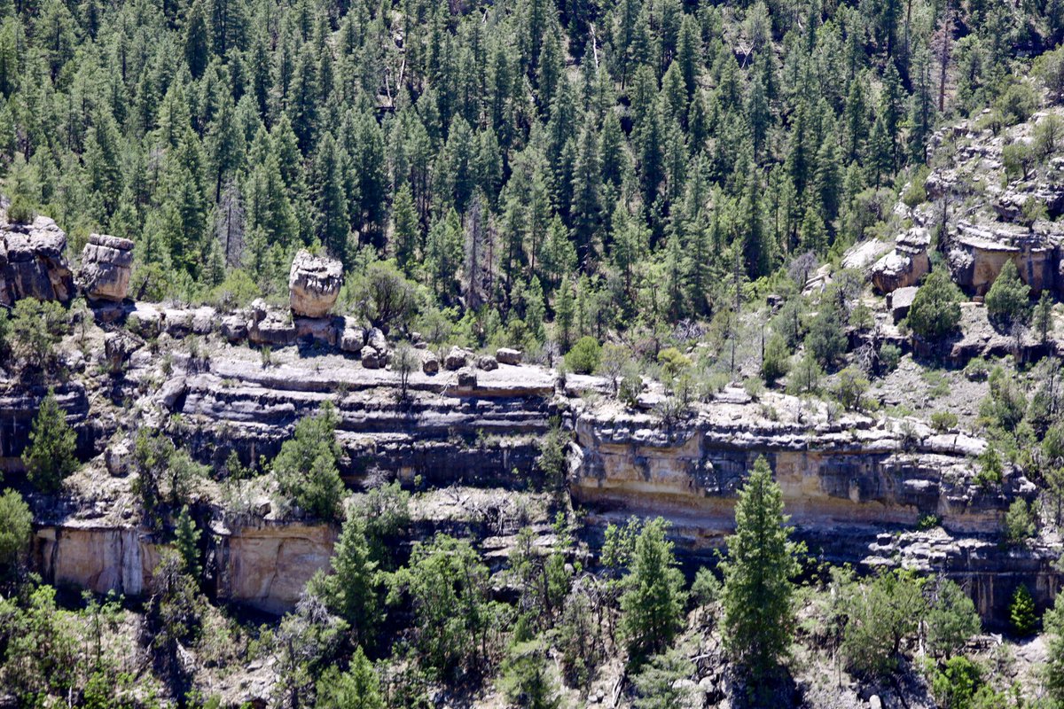 📍 Walnut Canyon, Flagstaff, AZ