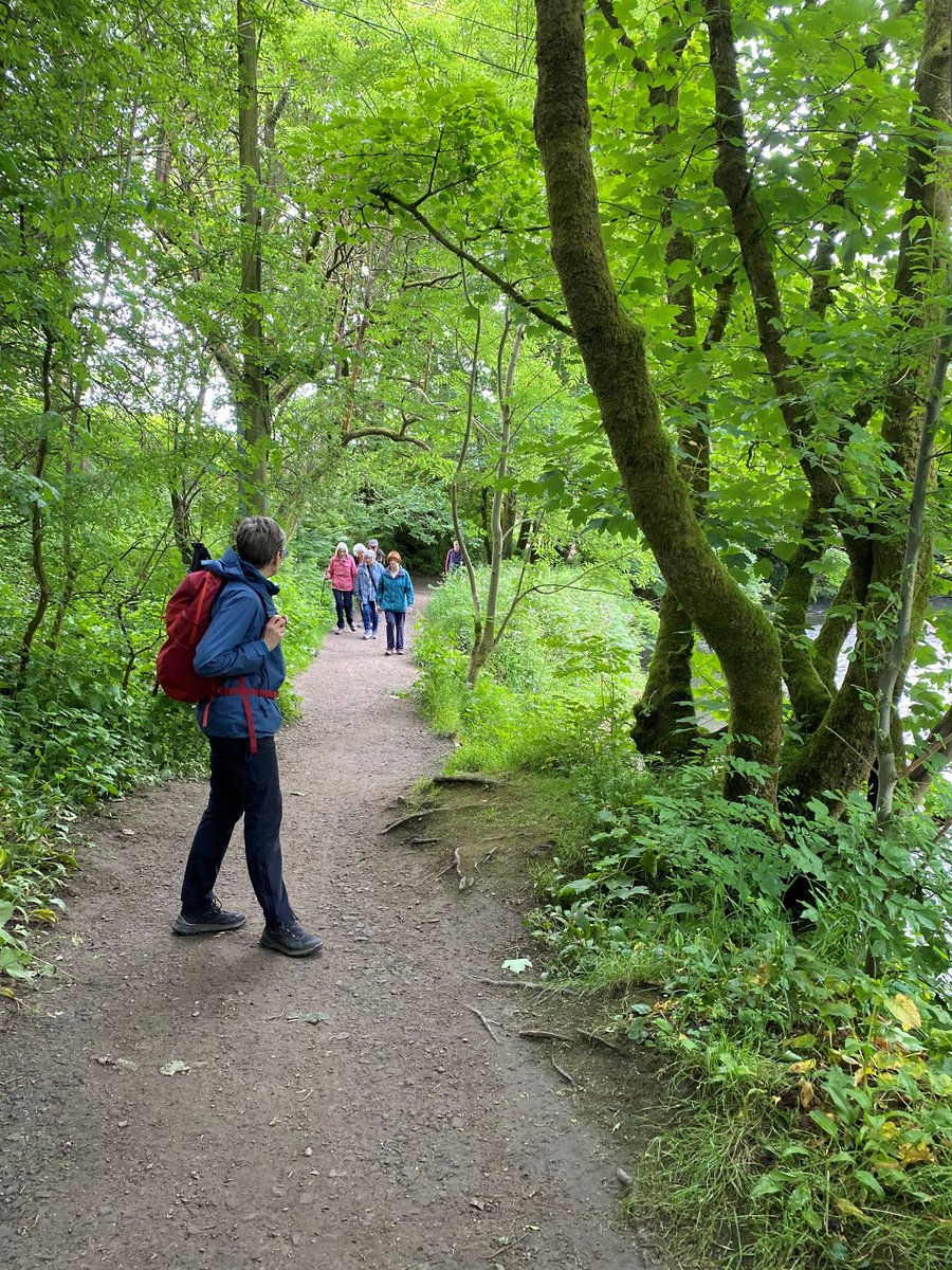 🚶Foraging walk coming soon! 

Discover the hidden treasures of Rossendale and explore local plants and herbs that are safe to forage. 

📅Thursday 4th July 
⏰10am-11am 
📍Carpark at The Rose N Bowl in Stacksteads

No need to book.🌳