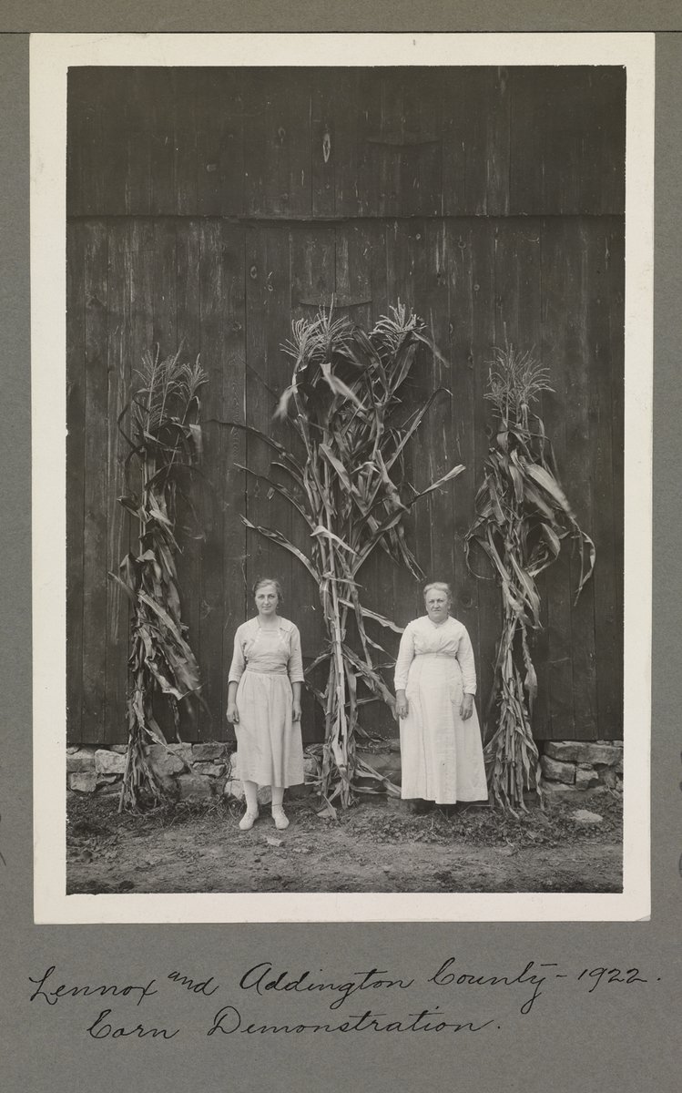 ArchivesOntario's tweet photo. Happy #CornMonth! We're taking "corny" to new heights with this photo of two farm women standing next to some impressive stalks of corn. Farmers across the province still compete for awards for the tallest, biggest or best examples of specific crops. 🌽 https://t.co/1NLTS953Ef