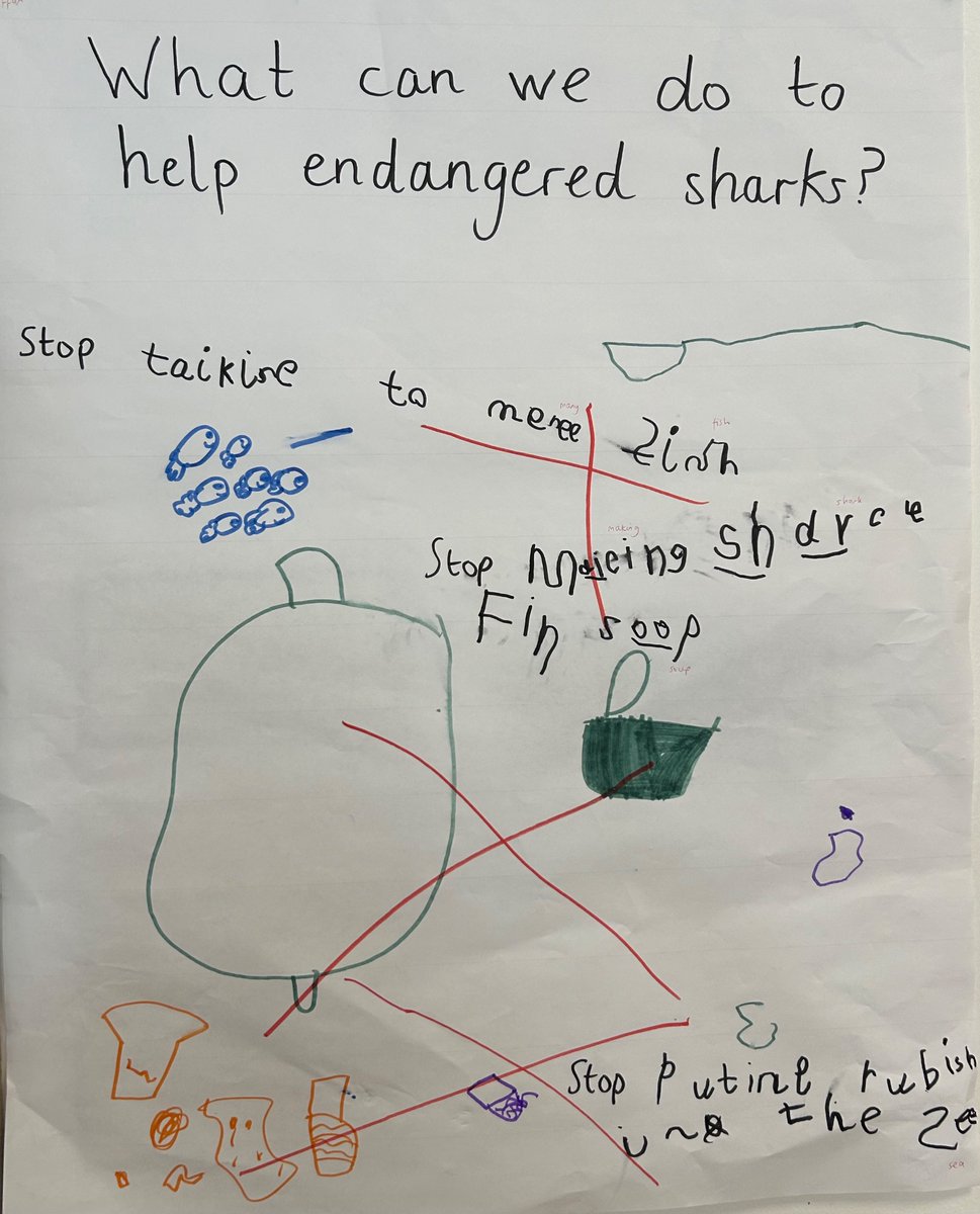 In Reception we have been learning about why sharks are endangered and what we can do to help. In Kagan Teams, children created posters to share the message far and wide! <a href="/_InspireScience/">Inspire Science</a> <a href="/_InspireEnglish/">Inspire English</a>