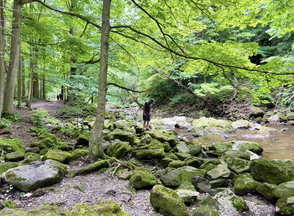 NYSadventures's tweet photo. Akron Falls Park is a beautiful summer destination with an easy to visit stunning waterfall, a lovely creek filled with  miss covered boulders, and a gorgeous rock garden. Learn more about visiting here: https://t.co/1NiXKVI24A https://t.co/ta2Jkkp9LB