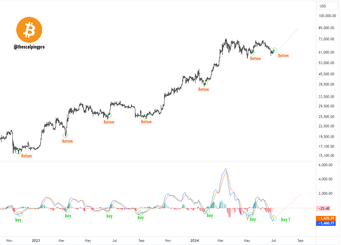 thescalpingpro's tweet photo. #Bitcoin is about to pump hard

MACD is about to cross bullish for the seventh time since the $15,500.

Each time MACD has turned bullish, we have witnessed a significant jump in Bitcoin's price.

Are you ready? 👀 https://t.co/rmCarlbMik