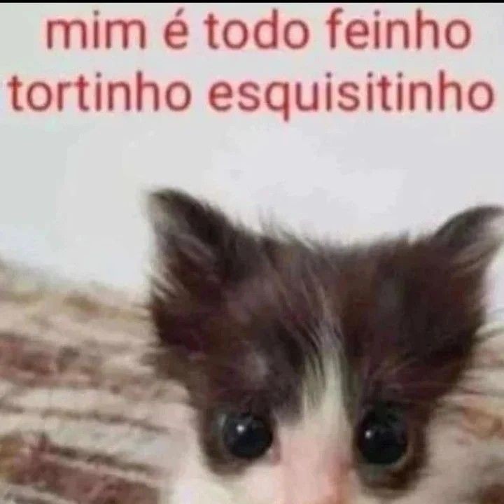 odeiootaco's tweet photo. https://t.co/E1Rts75Fpu