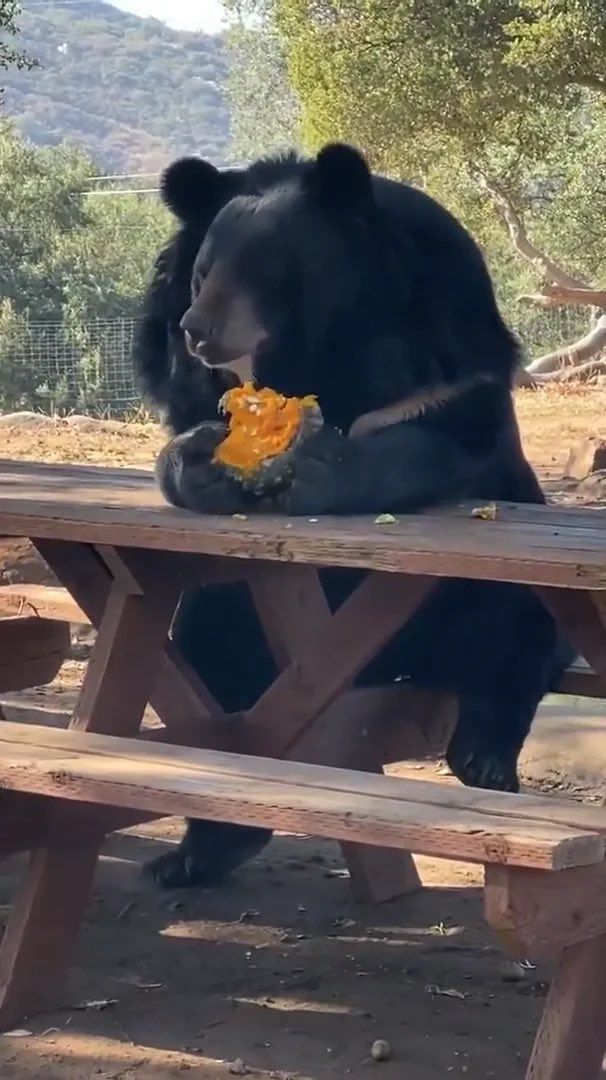 Nature is Amazing ☘️ tweet media