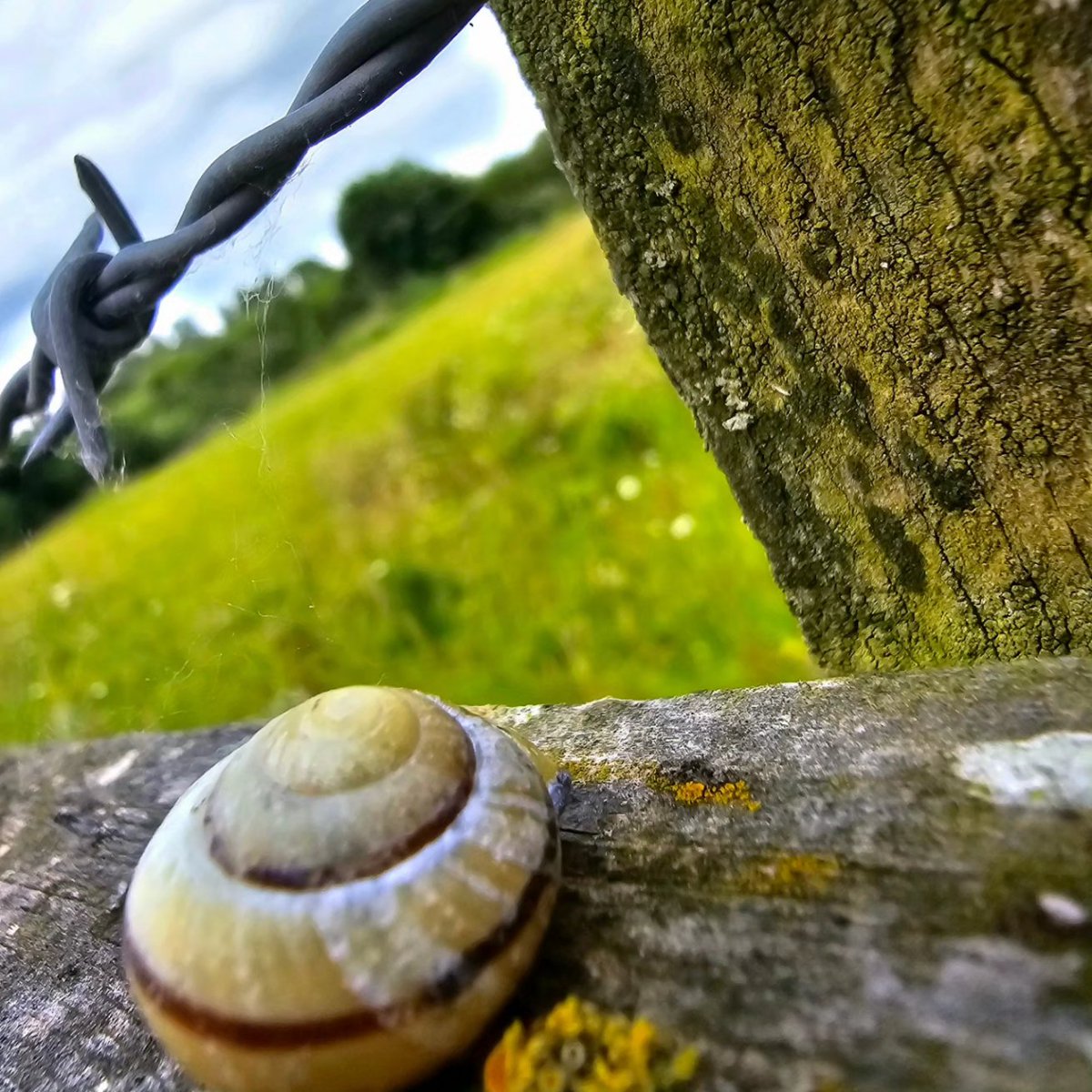 LylahPike's tweet photo. Prt 4 Skylarks nature reserve, @Nottswildlife #NaturePhotography #TwitterNatureCommunity https://t.co/0LNMc2sNdY