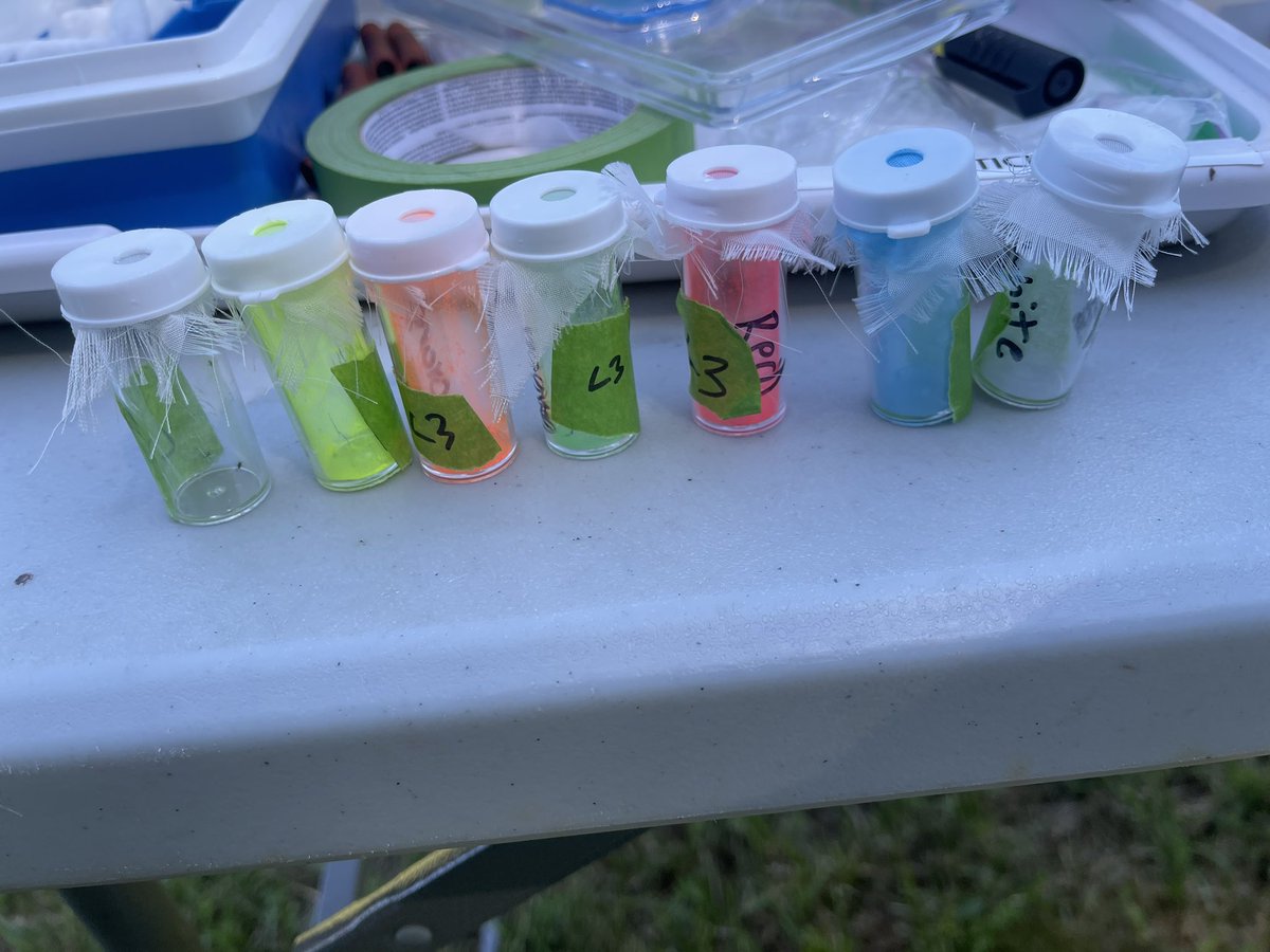 Well it finally happened…we ran out of unique colors for our #tick mark-recapture work. TBH we didn’t expect I scap nymphs to live this long in mowed lawns. Week 8! 😳