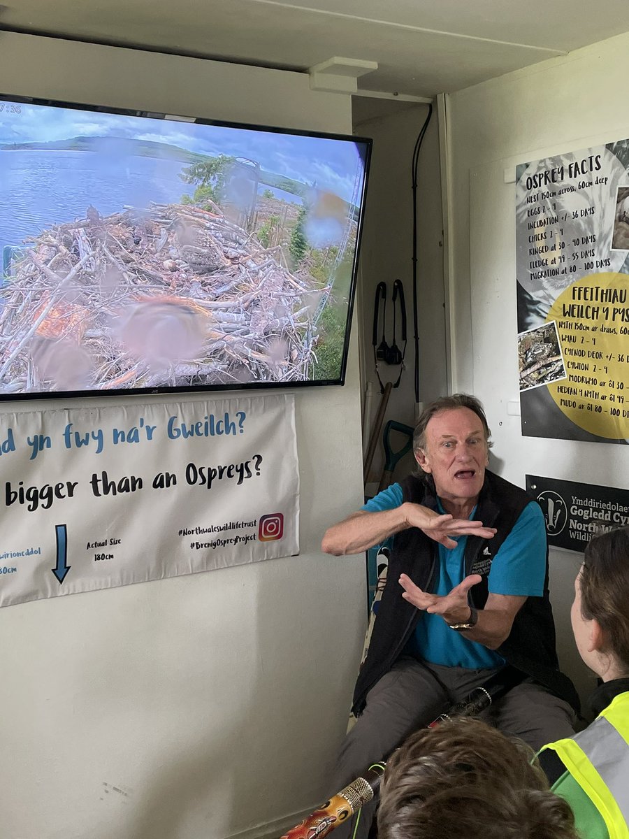 Myddelton College Preparatory School (@myddelton_prep) on Twitter photo 🦅 OSPREYS 🦅
Upper Prep enjoyed learning about the Osprey project at <a href="/LlynBrenig/">Llyn Brenig</a> on Friday. Two eggs have hatched and it was fascinating to learn about the birds and watch them on the live cam thanks to <a href="/WildlifeTrusts/">The Wildlife Trusts</a> 🤩
We were so proud of our pupils’ subject knowledge! 🦅 OSPREYS 🦅
Upper Prep enjoyed learning about the Osprey project at <a href="/LlynBrenig/">Llyn Brenig</a> on Friday. Two eggs have hatched and it was fascinating to learn about the birds and watch them on the live cam thanks to <a href="/WildlifeTrusts/">The Wildlife Trusts</a> 🤩
We were so proud of our pupils’ subject knowledge!