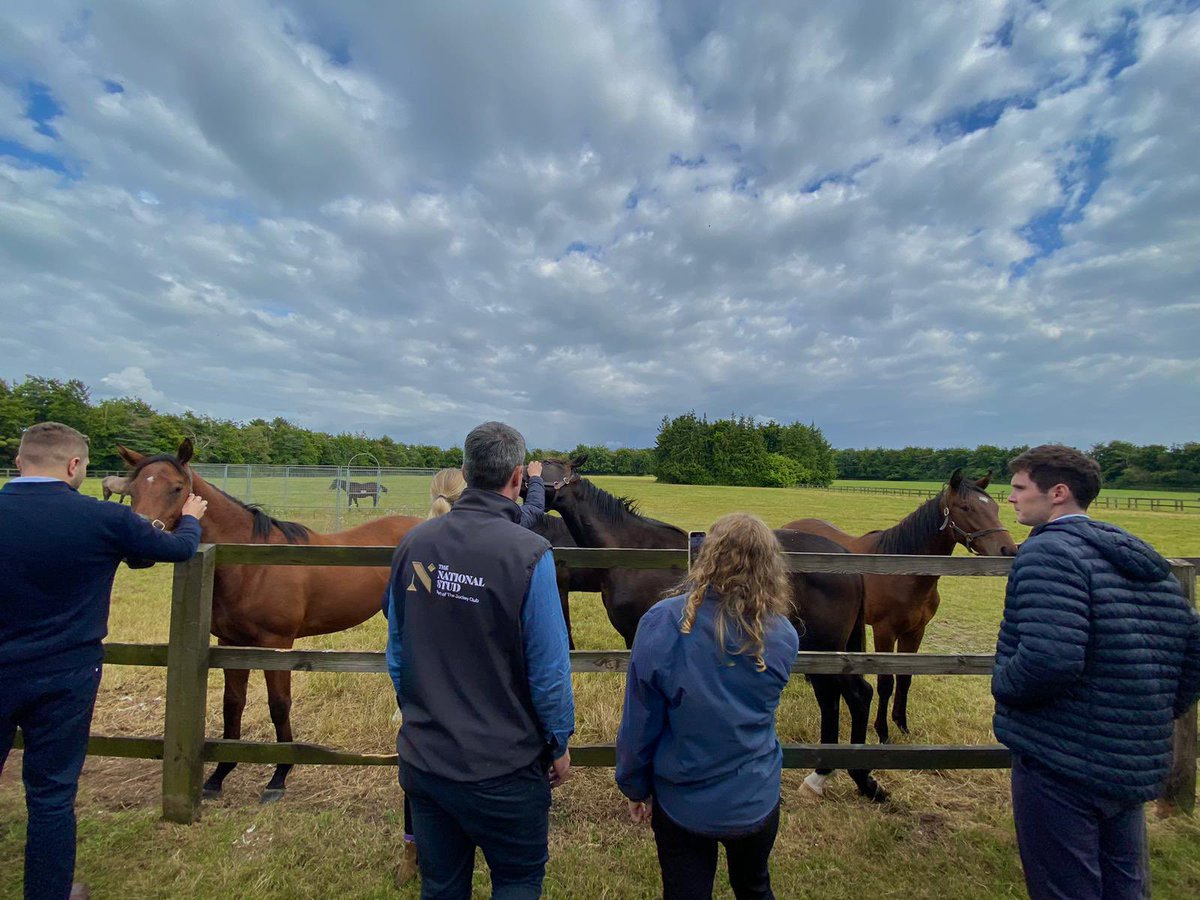 careersinracing's tweet image. The Development Programme got to visit the @NatStudStallion today!

What great photos!😆

#NationalStud #DevelopmentProgramme2024 #Stallion #CareersinRacing