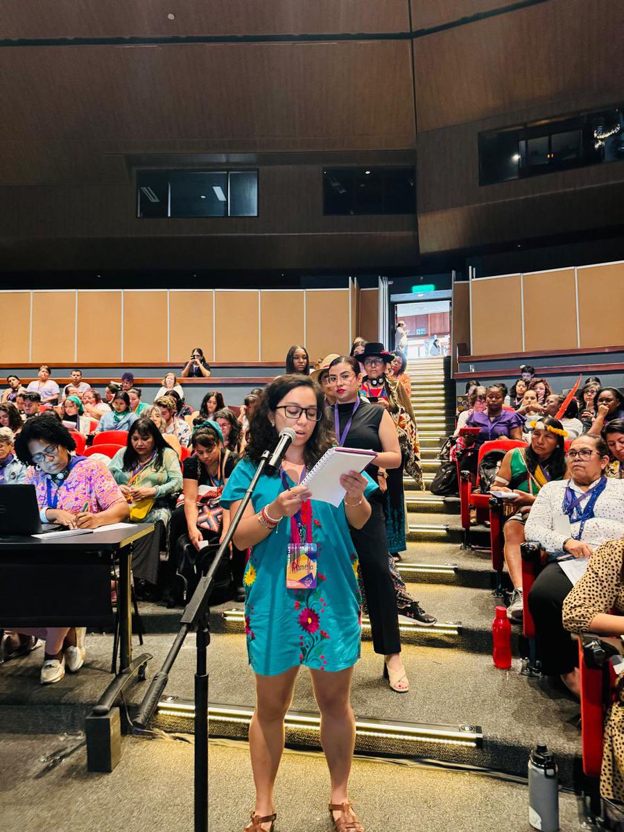 ConsensoM10's tweet image. Diversidad de voces y experiencias, activistas dialogando para construir una región más fuerte, más incluyente, más redistributiva y consciente de que nuestra diversidad es nuestra fortaleza. #CMparaTodasLasPersonas #CRPD2024