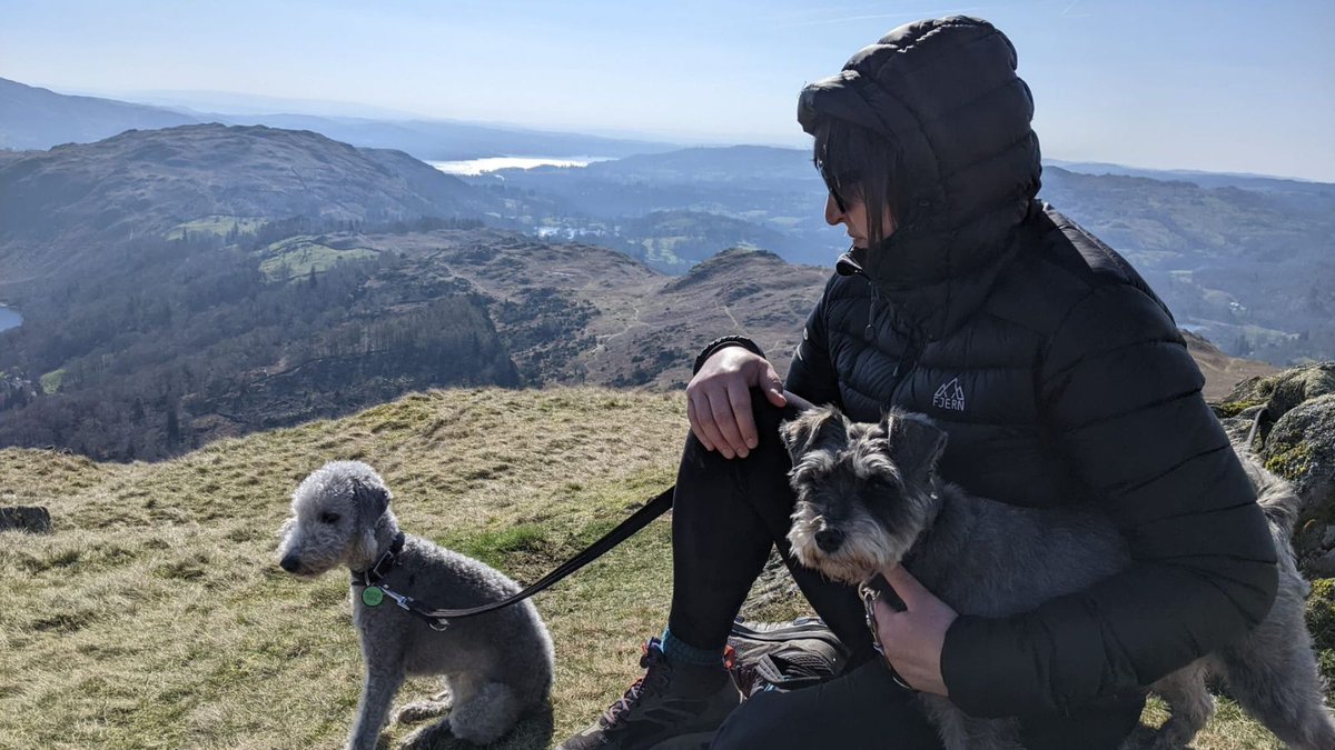 Next Steps tweet media