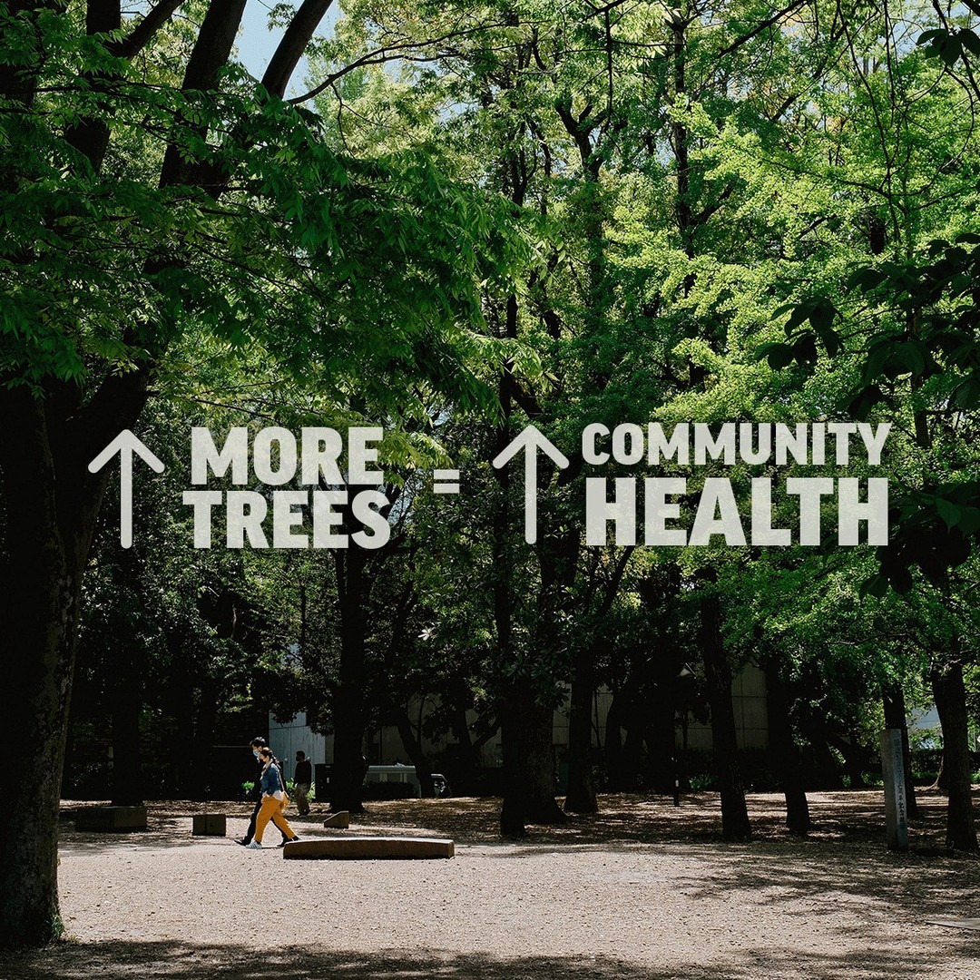 Urban trees are some of the hardest-working trees out there. As they line city streets, they protect residents and pedestrians from the elements and improve overall well-being and approach to community. 

The more of them we have, the better off we'll all be. 🌳