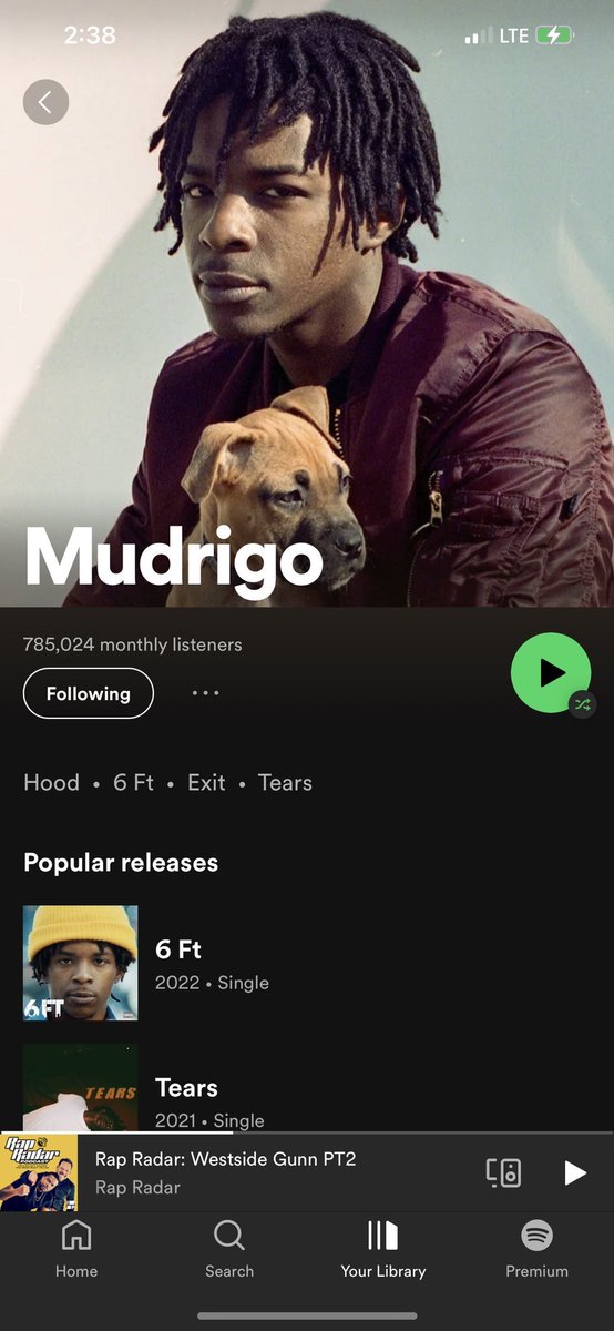 Mudrigo Vexpucci tweet media