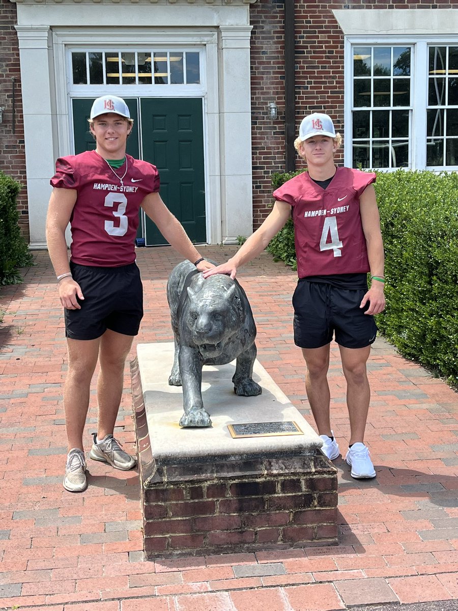 Tyler Harrison tweet media