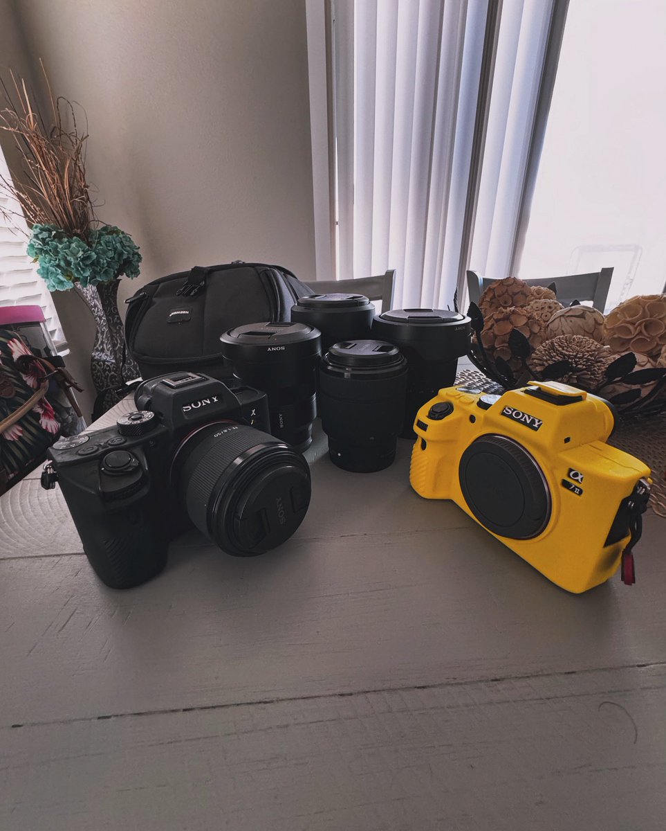 ElevateVisually's tweet photo. When the collection keeps growing…

@sonyalpha has some of the best camera equipment I have ever used, especially when it comes to the low-light concerts I have found a passion for. 

That being said, I have TWO major things to announce: https://t.co/5Pdv6Rq2bv