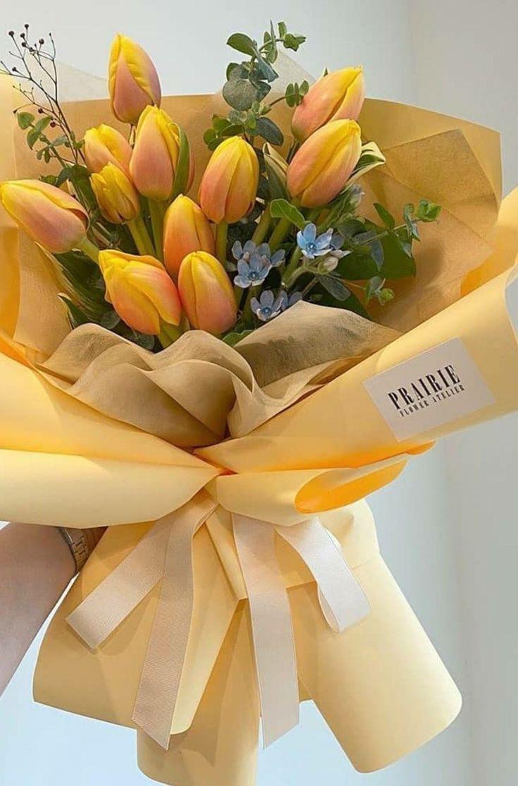 nothingmoment_'s tweet photo. Yellow tulips https://t.co/3wfCXtiDDm