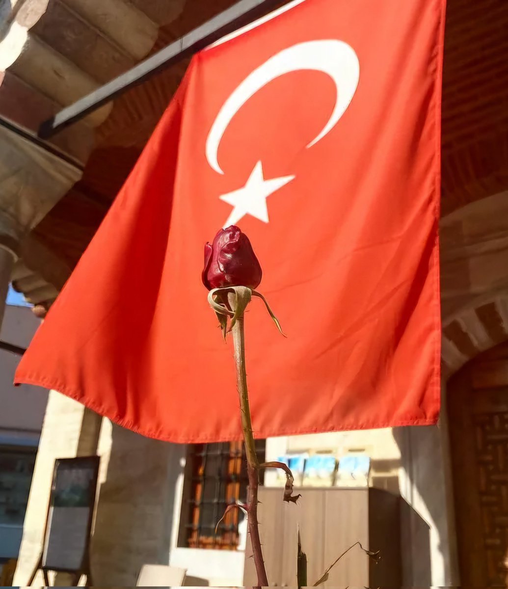 turukus's tweet photo. "Yüksek yerlerde açan çiçeğim..." https://t.co/v5tstbEY5z