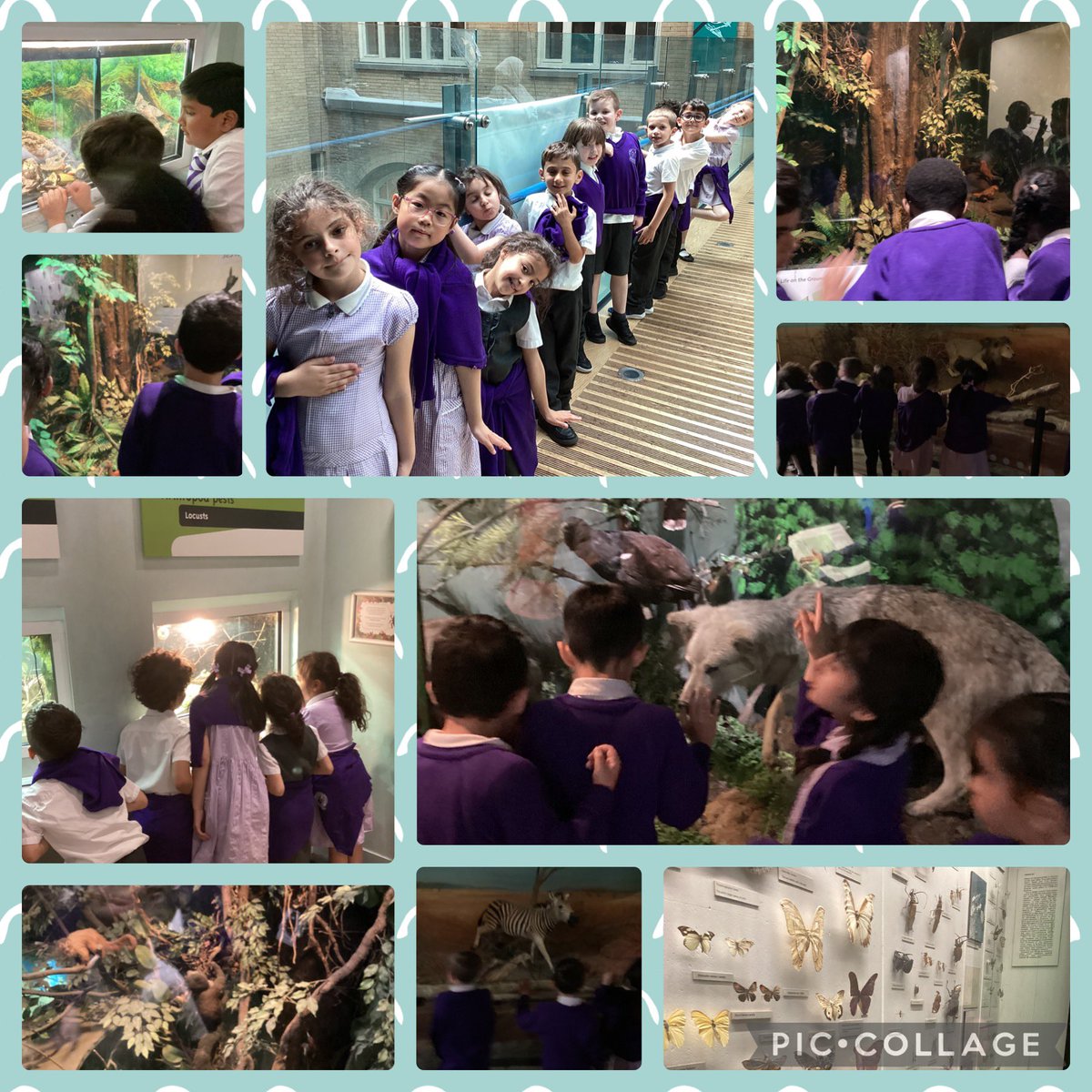 HolyFamilyL8_2M's tweet photo. We had a fantastic time at the World Museum today too! We explored in the aquarium, the bug house, the dinosaur land and the space area. We even watched a video of a real life astronaut - Tim Peake! @World_Museum #Trips #Extracurricular #LearningIsFun #VisitAMuseum https://t.co/CK7Lbj9s0G