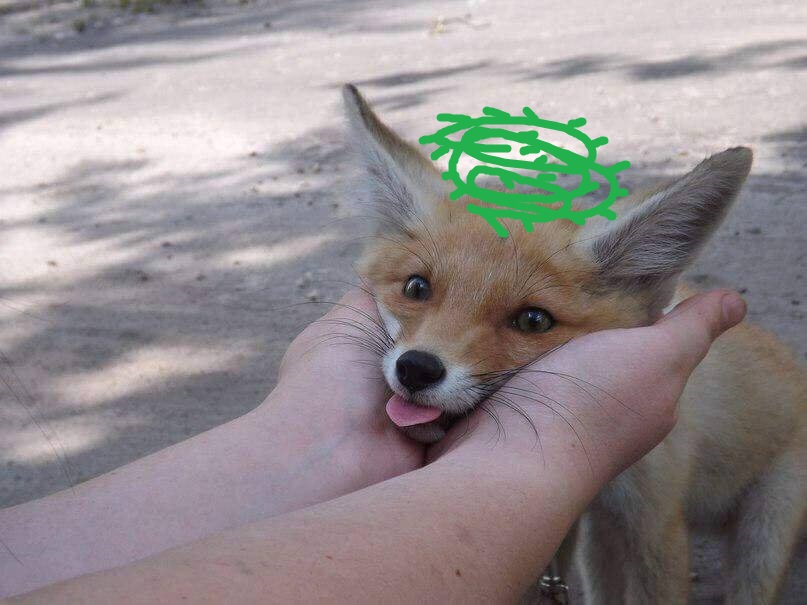 Shemeshka the Marauder tweet media