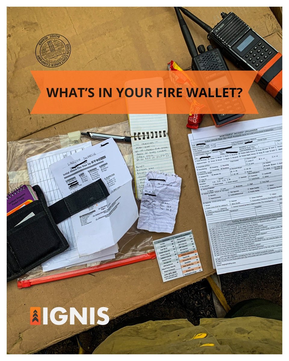 Ignis Technologies tweet media