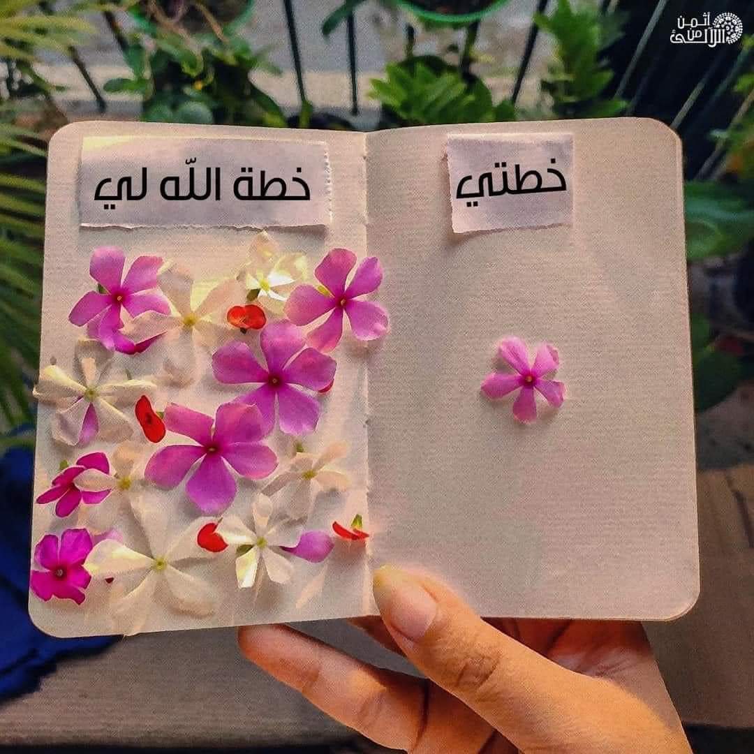 ScreenMix's tweet photo. احسن الظن بالله دائمًا ❤️ https://t.co/SkmBaytXbq