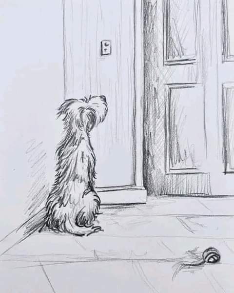 rogeliomtz75's tweet photo. Este es el único ser que nunca se cansará de esperarte. 🐾❤️ https://t.co/tTRogWsjeh