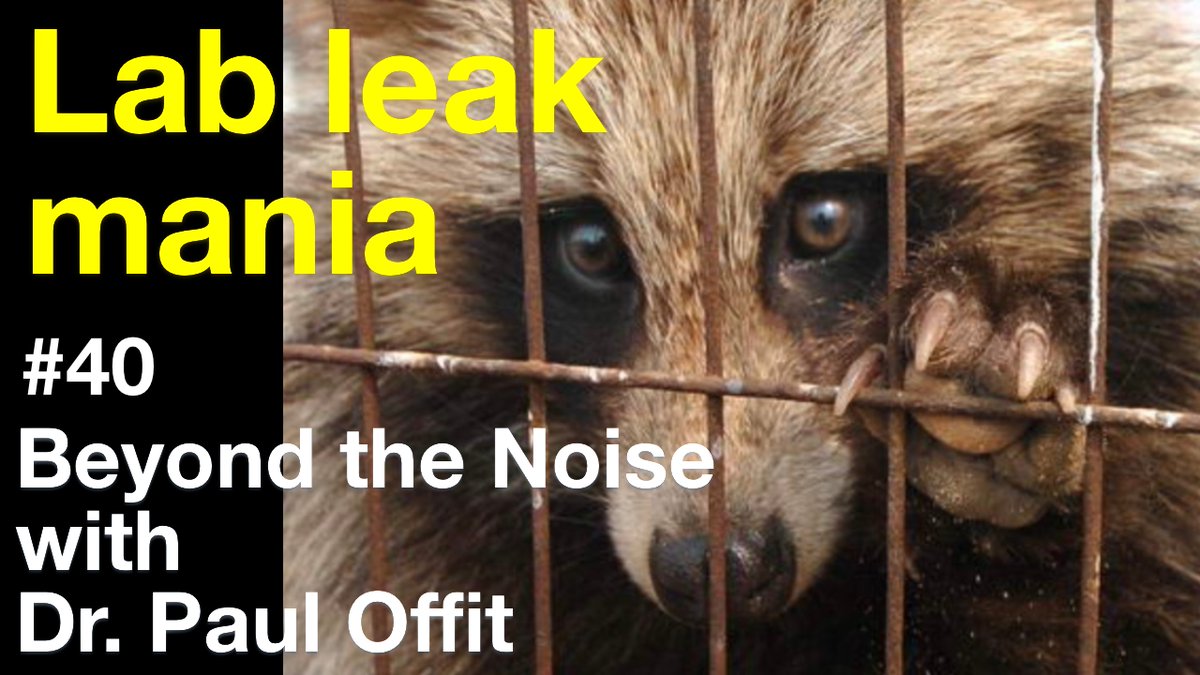 Lab leak mania 〰️ In this episode, Dr. Offit asks, “Why did the New York Times publish an op-ed supporting the lab leak theory when all evidence supports a zoonotic spillover?” This video is based on two of Dr. Offit’s substack posts, “Lab leak mania.” 📺 bit.ly/3RNvUR9