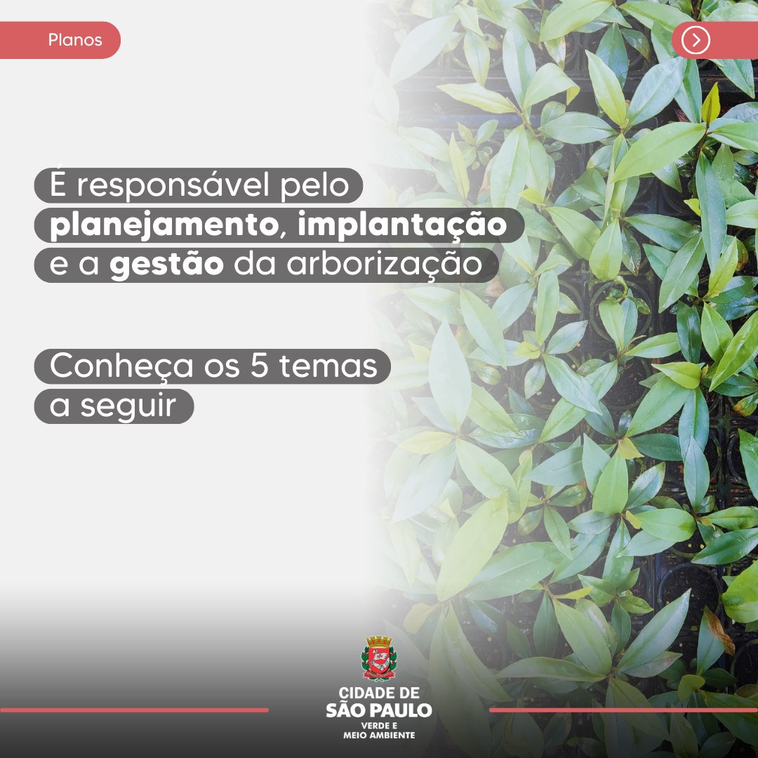 Secretaria do Verde e do Meio Ambiente tweet media