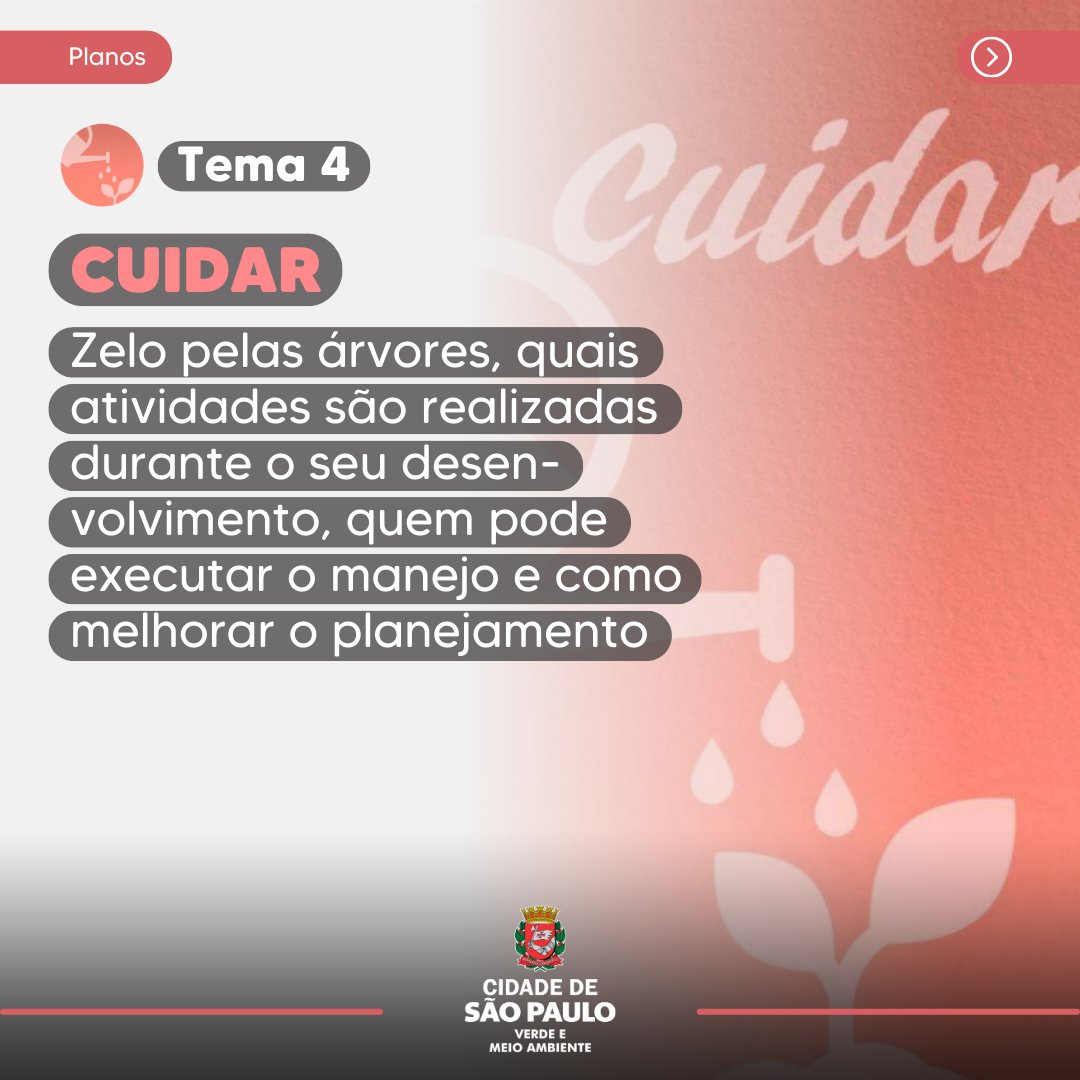Secretaria do Verde e do Meio Ambiente tweet media