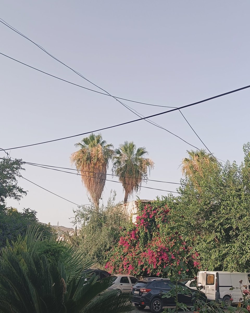 ganesha luv füğçır🦙 (@fugcir) on Twitter photo 