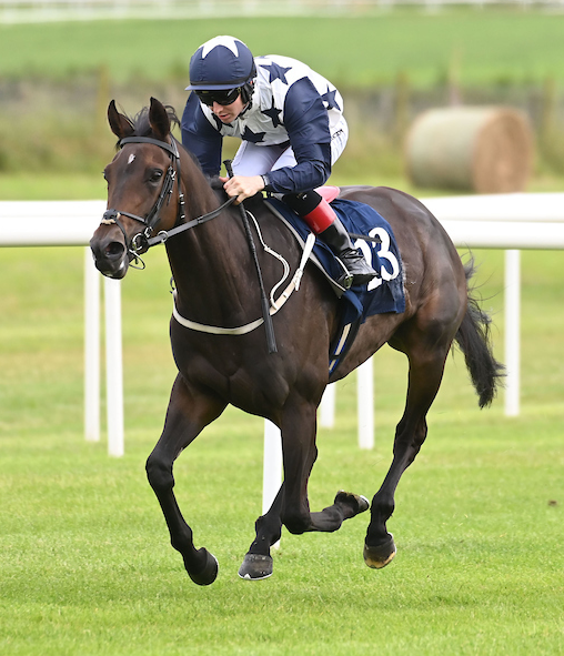 IrishEBF_'s tweet photo. SERIOUS NOTIONS (by Advertise @Mantonstallions) wins the #IrishEBF Fillies Mdn @RoscommonRaces for Ger Lyons @ctkjockey and owners Gaynor Bloodstock 🏆👏🏆

#EBFGoodForRacing 🐎🐎
#HorseRacing https://t.co/IrkN1y5WR3