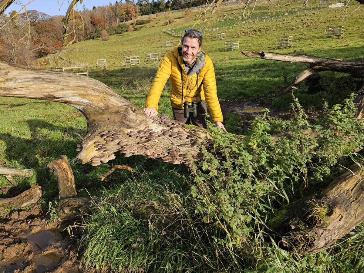 Pete Leeson (@treeamblepod1) on Twitter photo Tree Pilgrim is the latest podcast from Tree Amble - now out! We meet Martin Hugi and chat about his love of veteran and ancient trees and his amazing long distance walk to highlight their plight. <a href="/woodywildlife/">Christine Reid</a> @WoodlandTrust <a href="/treepilgrim/">@TreePilgrim</a>
podcasts.apple.com/gb/podcast/ser… Tree Pilgrim is the latest podcast from Tree Amble - now out! We meet Martin Hugi and chat about his love of veteran and ancient trees and his amazing long distance walk to highlight their plight. <a href="/woodywildlife/">Christine Reid</a> @WoodlandTrust <a href="/treepilgrim/">@TreePilgrim</a>
podcasts.apple.com/gb/podcast/ser…