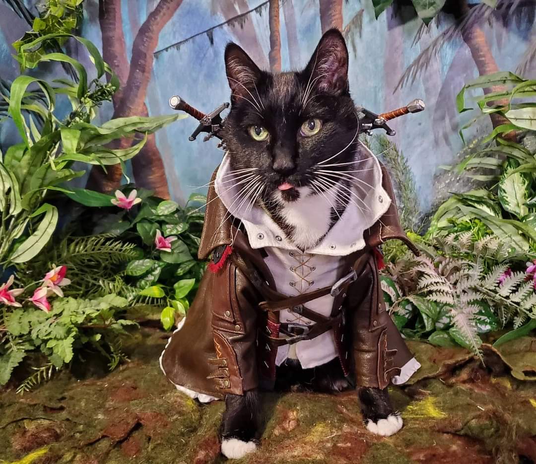 Super excited to finally get to share this <a href="/FF_XIV_EN/">FINAL FANTASY XIV</a> project with you all! 
The Viper was a super fun build!
But the jungles of Tural has some more surprises in store!
 Stay tuned!

#FFXIV #DAWNTRAIL