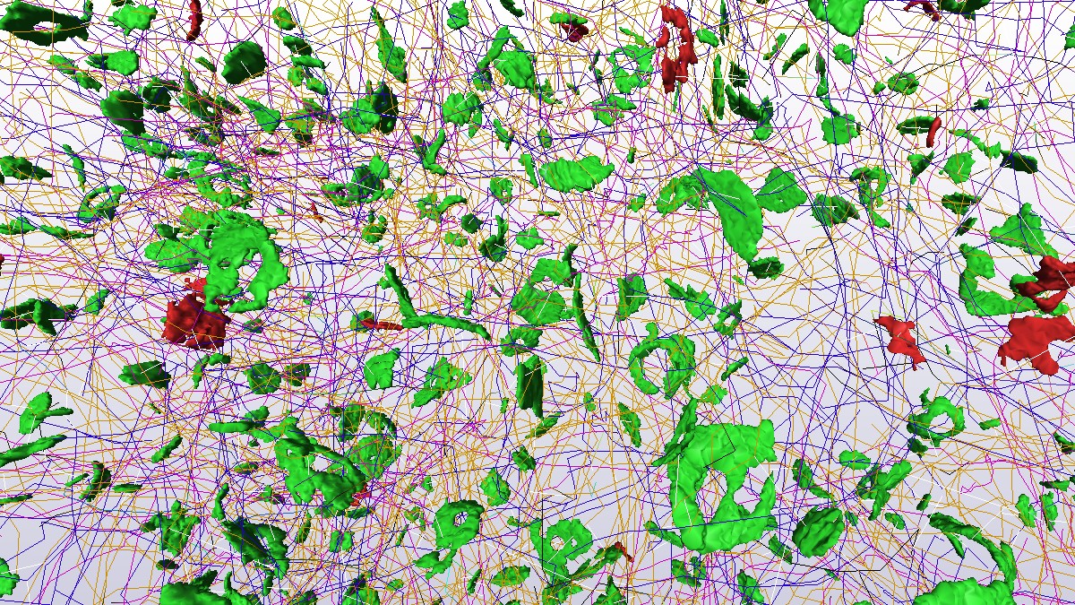 Communications Biology (@commsbio) on Twitter photo Nerve fibers are traced within 3D brain samples using volume electron microscopy and dedicated software.
<a href="/CorticalLab/">Cajal Laboratory of Cortical Circuits</a> <a href="/InstitutoCajal/">Instituto Cajal-Centro de Neurociencias Cajal-CSIC</a> <a href="/CTBUPM/">CTB-UPM</a> @ciberned <a href="/CSIC/">CSIC</a> <a href="/La_UPM/">Universidad Politécnica de Madrid</a> <a href="/informaticaupm/">ETSI Informáticos</a>
doi.org/10.1038/s42003… Nerve fibers are traced within 3D brain samples using volume electron microscopy and dedicated software.
<a href="/CorticalLab/">Cajal Laboratory of Cortical Circuits</a> <a href="/InstitutoCajal/">Instituto Cajal-Centro de Neurociencias Cajal-CSIC</a> <a href="/CTBUPM/">CTB-UPM</a> @ciberned <a href="/CSIC/">CSIC</a> <a href="/La_UPM/">Universidad Politécnica de Madrid</a> <a href="/informaticaupm/">ETSI Informáticos</a>
doi.org/10.1038/s42003…