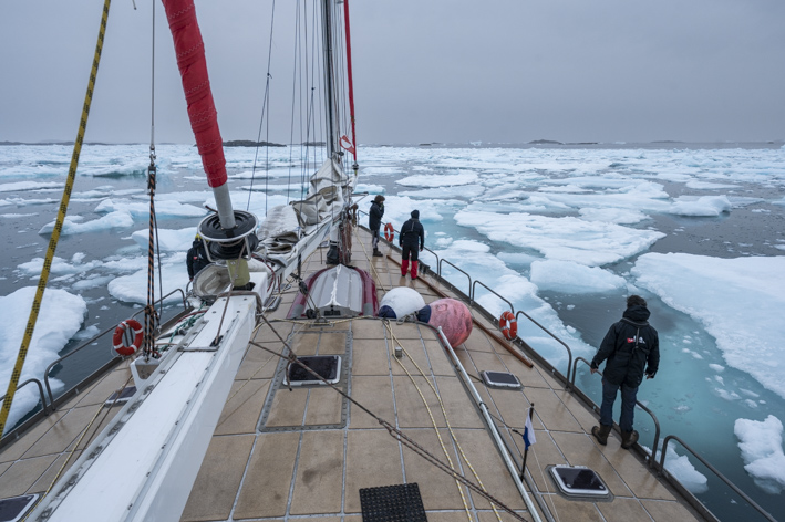 Forel Heritage Association tweet media