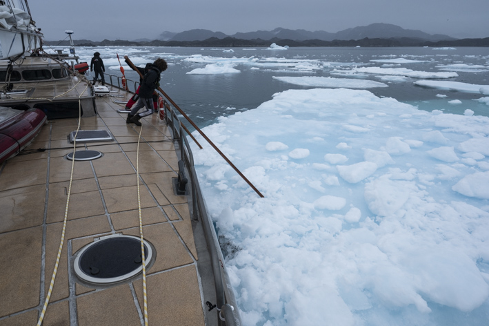 Forel Heritage Association tweet media