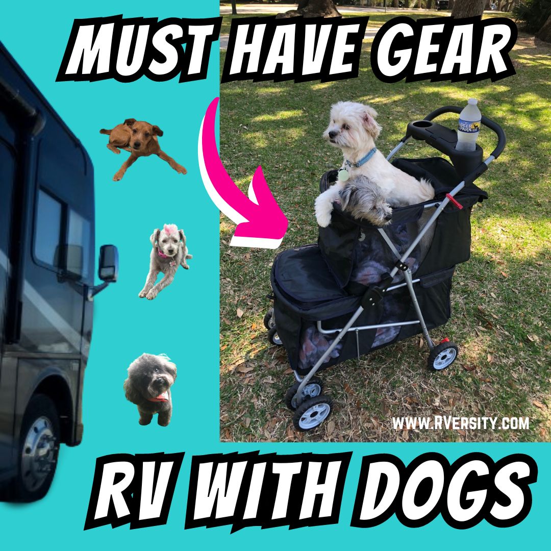 RVersity's tweet image. ✅ #RVingWithDogs can be fun if you have the #DogEssentials 🦮  We know @RVersity since we RV with all the dogs @BirdiesDoghouse Get our Must Have #DogGear 👉 rversity.com/rving-with-dog…
.
.
#RVWithDogs #RVLife #RVingWithPets #DogLife #RVChecklist #BirdiesDoghouse #DogAccessories