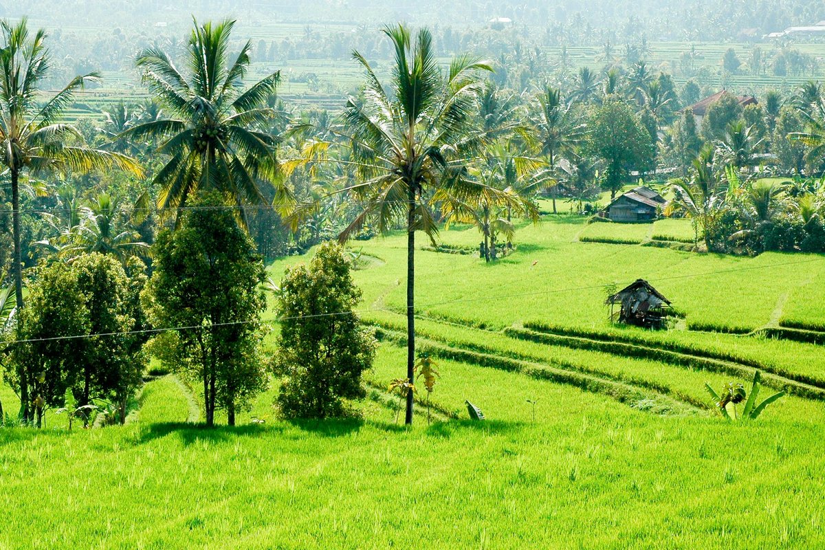 At Villa Bossi in Bali, your stay is as peaceful or action-packed as you desire.
Book your slice of paradise today at villabossibali.com/en/availability and create unforgettable memories with your family &amp; friends! For any questions : caroline@villabossibali.com #villabossibali