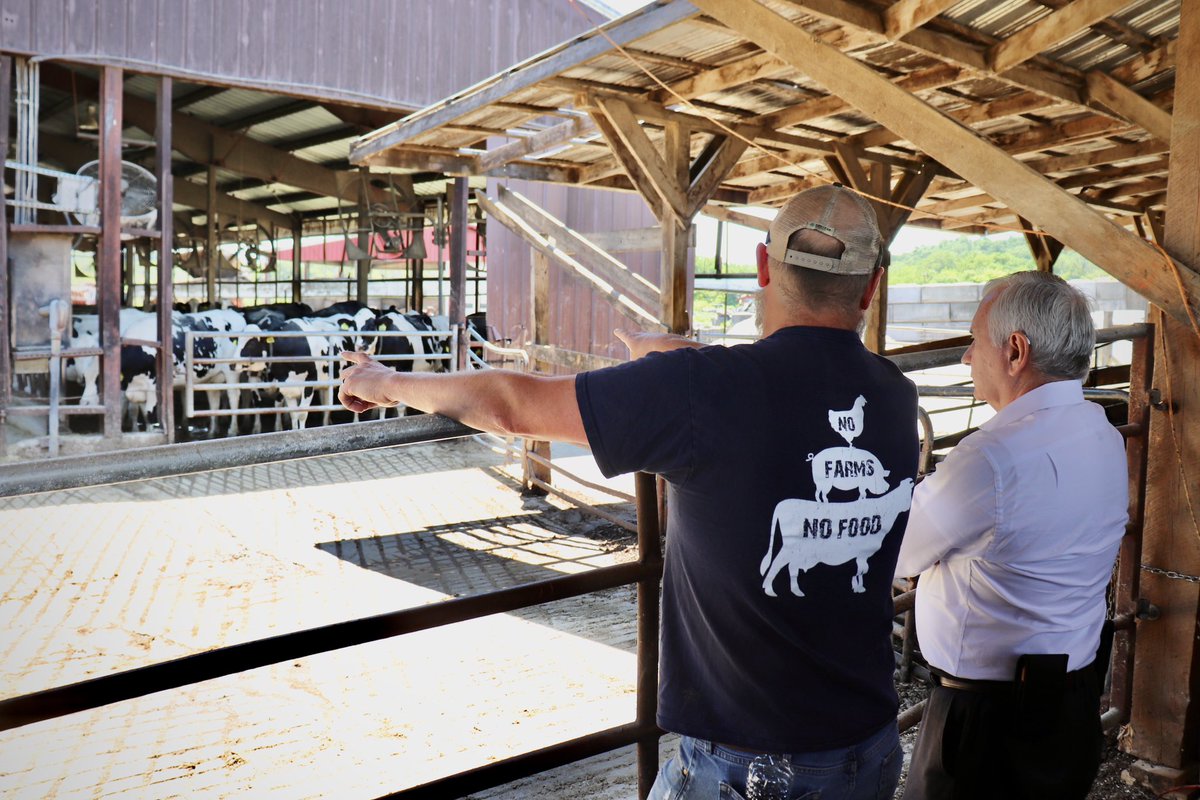 Senator Jack Reed tweet media