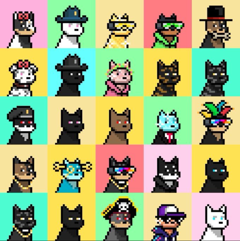 SoloMeta's tweet photo. 14/35

People need to find you easily because they are lazy.

Now, onto your PFP (Profile Picture).

This is simple: make it a @doginaldogs.

Even if it is the Starter Dog (Generic brown Dog). https://t.co/iwlMDxyuEm