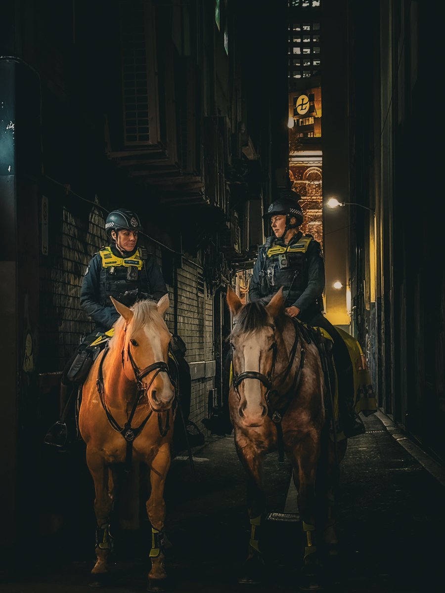 joevee84's tweet image. &quot;Mounted police patrol in the heart of Melbourne 🐴🚔 #CityScenes #MelbourneAdventures&quot;