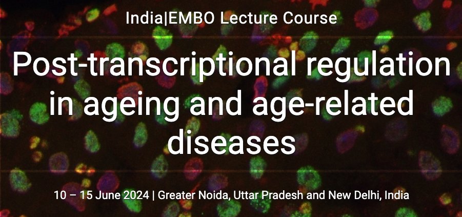 albacortescoego's tweet photo. Exciting June! Thrilled to share that I presented my #thesis research on #RNA #methylation and #ageing at #RiboRed and #iDIFFER meetings in Bilbao, and #EMBO's "Post-transcriptional Regulation in Ageing". Grateful for the enriching experiences and networking opportunities! 👩‍🔬 https://t.co/rQElrQLMLd
